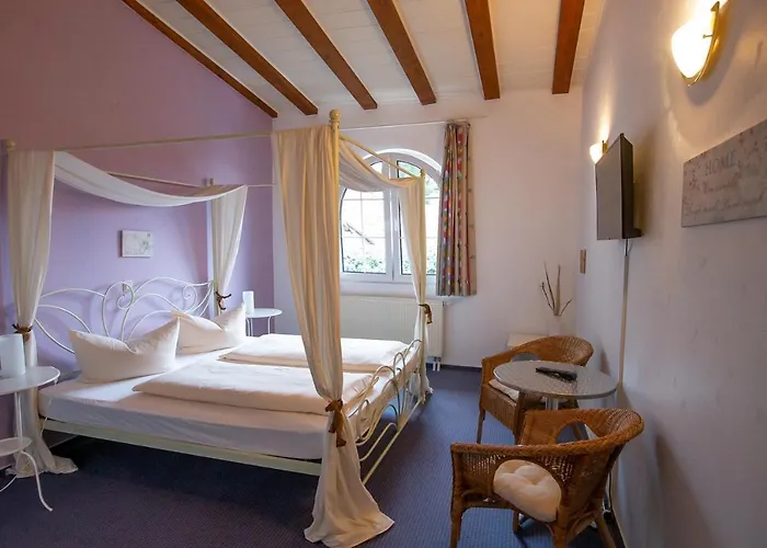 Schlosshof 3* Dolgesheim